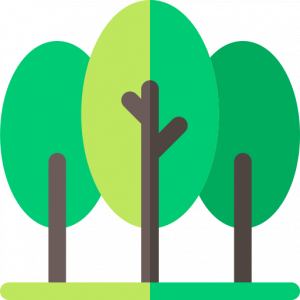 forest forest icon